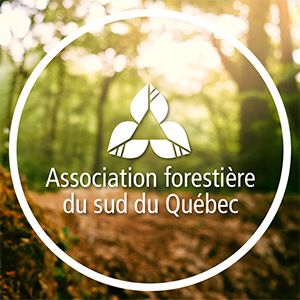 Le bois de chauffage, écologique ou pas?