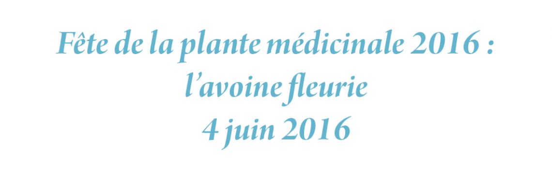 Fête de la plante médicinale 2016 : l’avoine fleurie